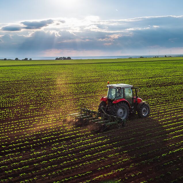 Traktor bearbeitet Ackerfeld bei Dämmerlicht – Arbeitsschutz für landwirtschaftliche Maschinen und Soloarbeit im Raum Chemnitz