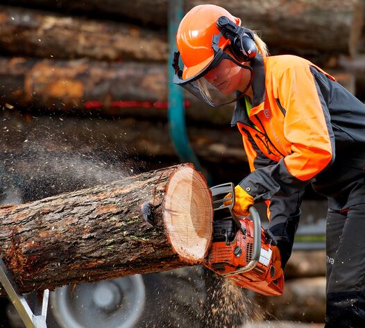 Forstarbeiterin sägt Baumstamm mit Kettensäge und trägt Schutzhelm/-kleidung – Arbeitssicherheit im Forstbetrieb Chemnitz